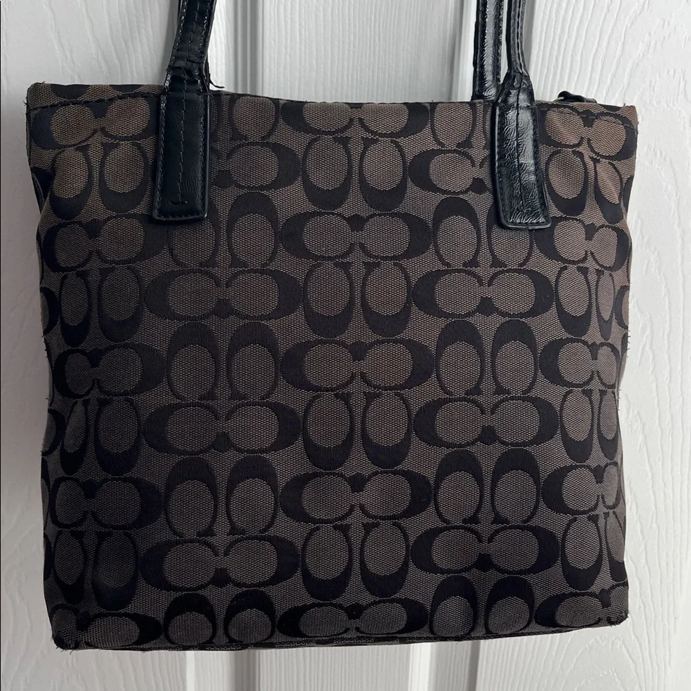 Coach Signature Python Stripe Tote Shoulder Canvas Bag (H1360 - F25706)